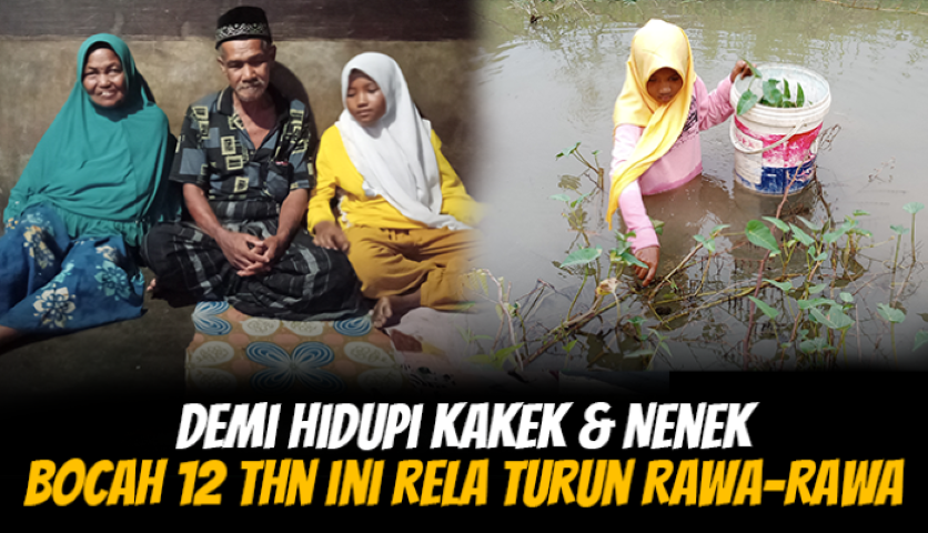 Jadi Tulang Punggung, Bocah Ini Jualan Kangkung Demi Hidupi Kakek Nenek