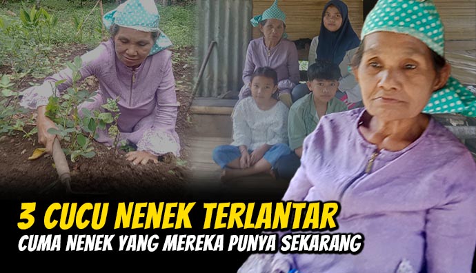 Jadi Buruh Tani, Lansia Ini Hidupi Cucu Terlantar
