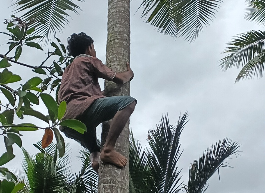 Bantu Hafi Berjuang Hidupi Adik dan Ibu Sakit Lumpuh