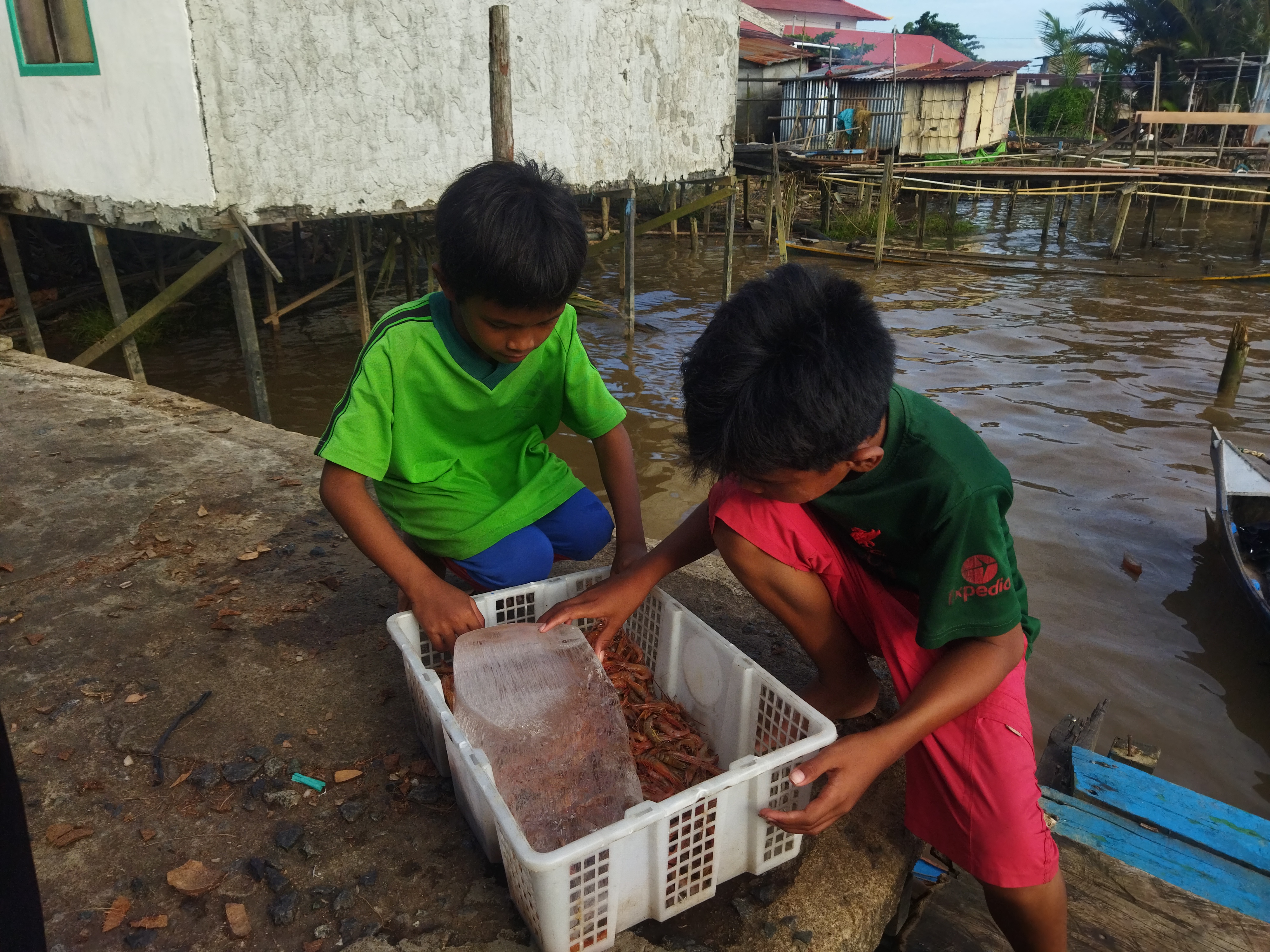 Yatim Piatu Ini Rela Putus Sekolah Demi Hidupi Nenek dan Adik