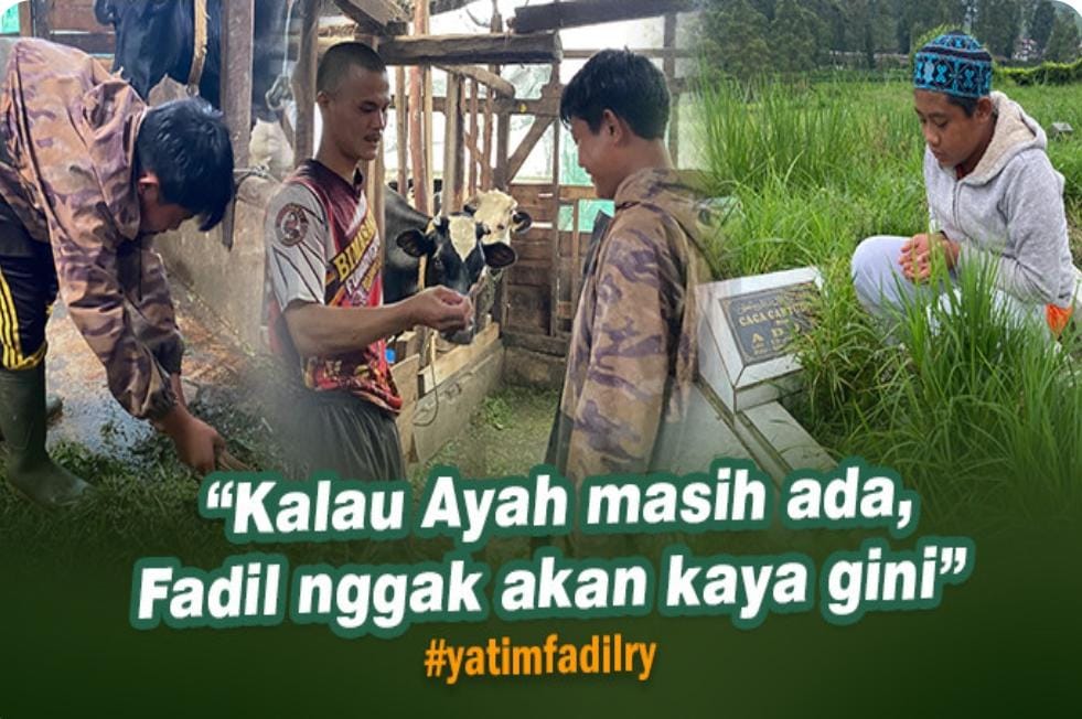 Yatim Penjaga Sapi Ini Berjuang Demi Makan dan Sekolah