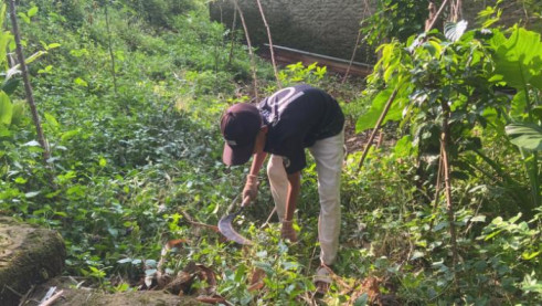 Sepulang Sekolah, Aldi Pikul Rumput Demi Bantu Ibu