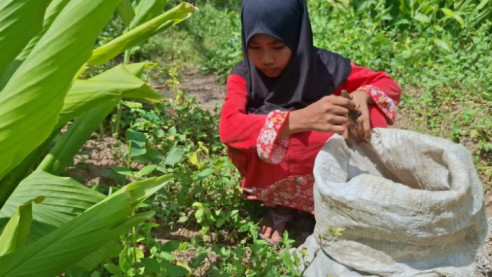 Tangan Kuning Lusiana Jadi Bukti Perjuangan Yatim Piatu Bertahan Hidup