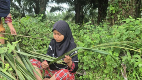 Cari Daun Sawit, Yatim Ini Berjuang Bantu Ibu