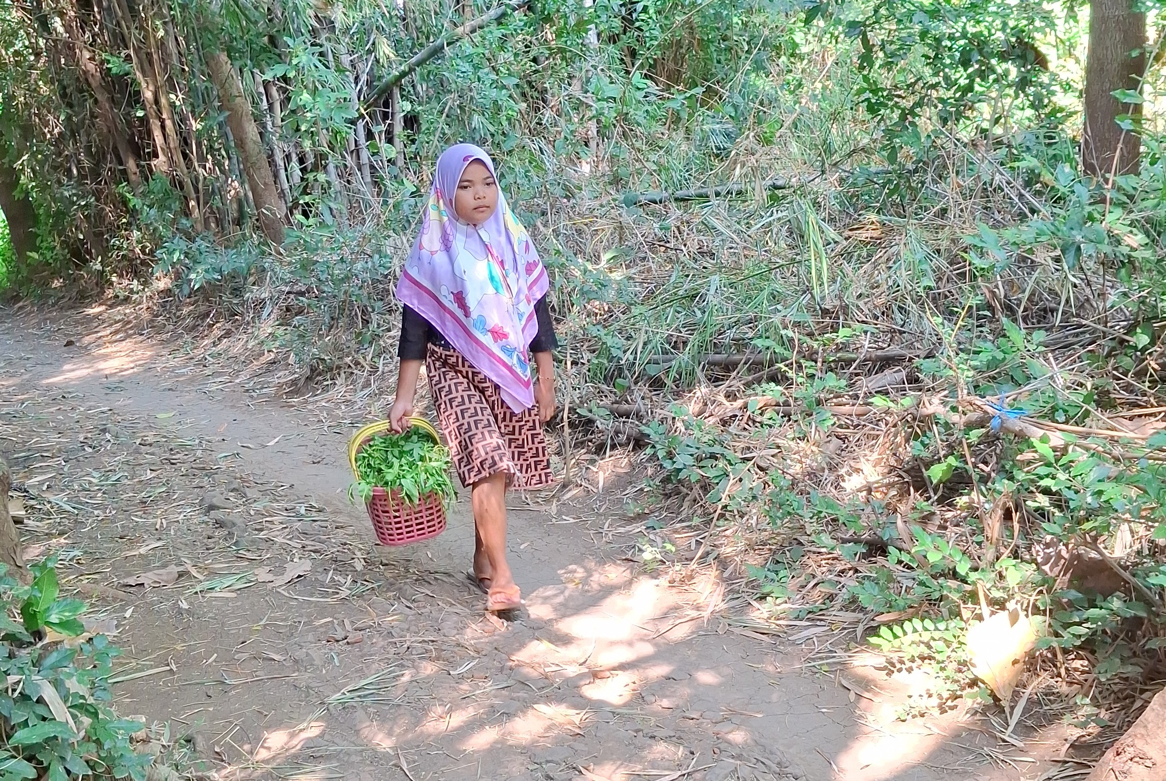 Dila Bertahan Hidup dari Jual Kangkung
