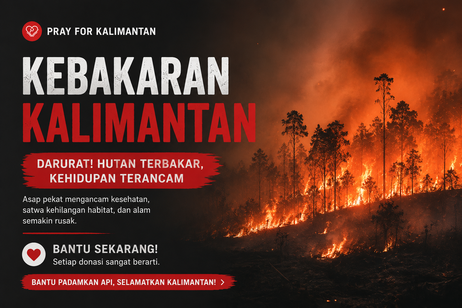 DARURAT! Bantu Warga Kalimantan Hadapi Asap dan Kekeringan