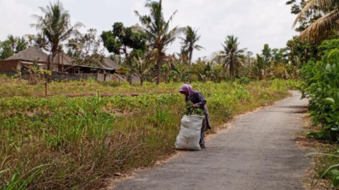 Upah Rp20 Ribu Sehari, Nenek Mahruni Berjuang Besarkan Anak dan Cucu